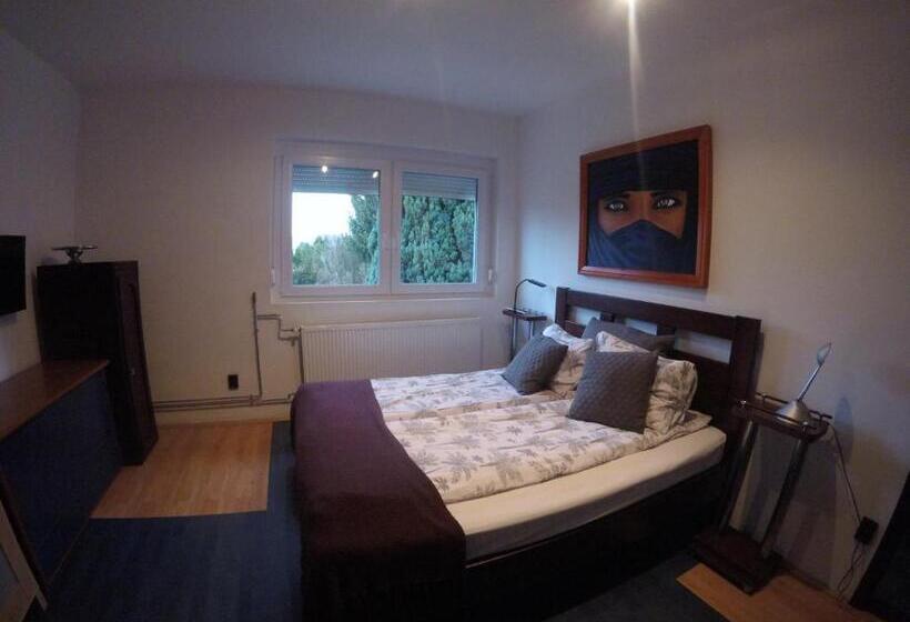 بنسيون Dózsaház