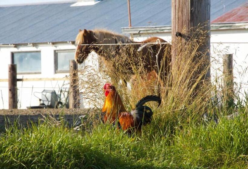 پانسیون Finnstaðir