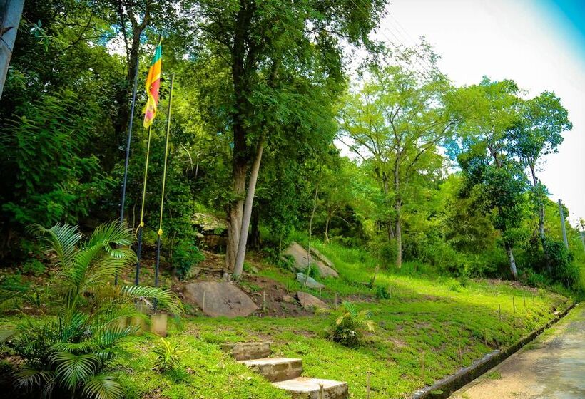 فندق Nelinsa Kandy