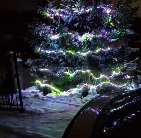 پانسیون сонячні карпати