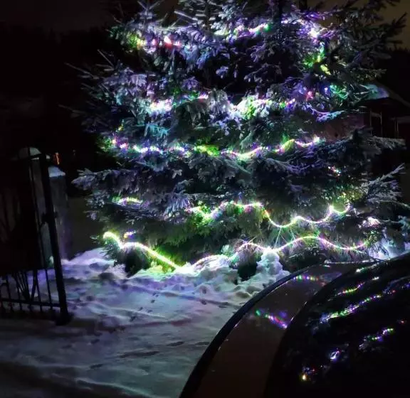 Majatalo сонячні карпати