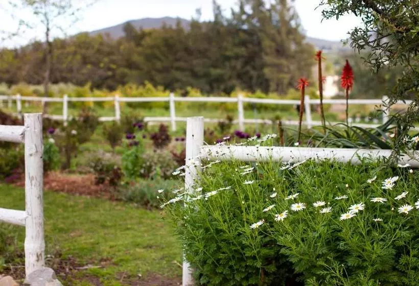 Majatalo Summerhill Guest Farm