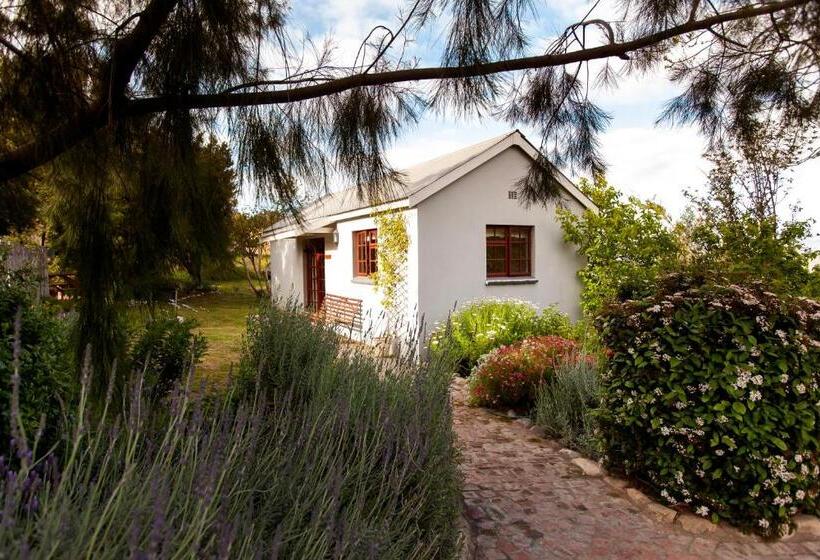 Пансион Summerhill Guest Farm