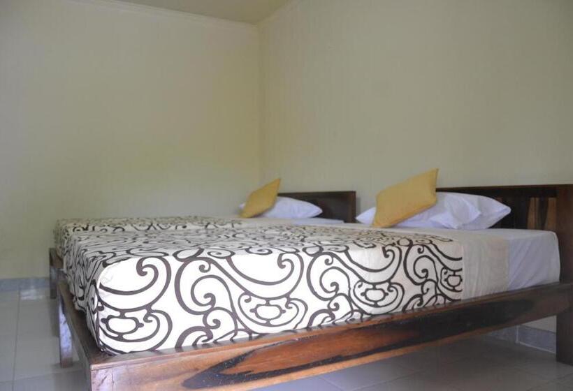 פנסיון Bb Homestay Two