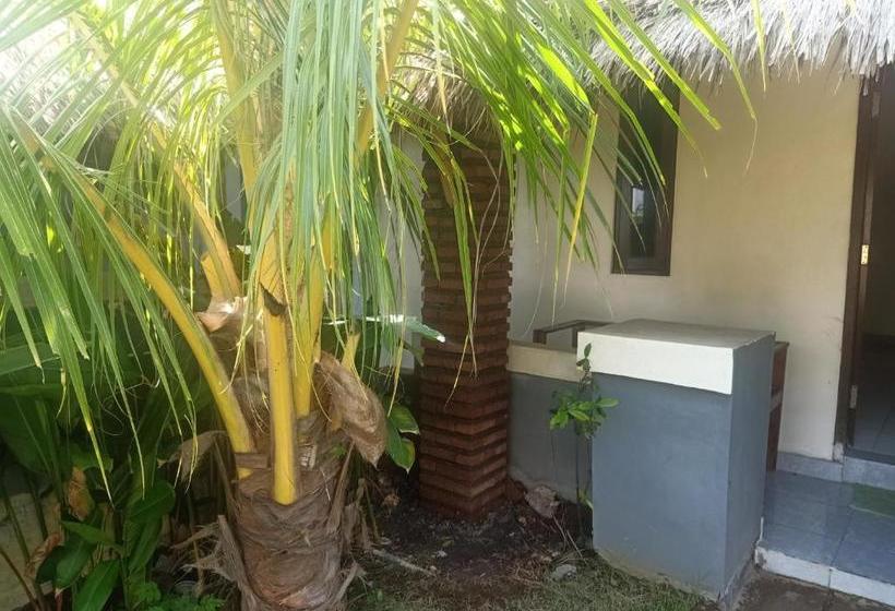 פנסיון Bb Homestay Two