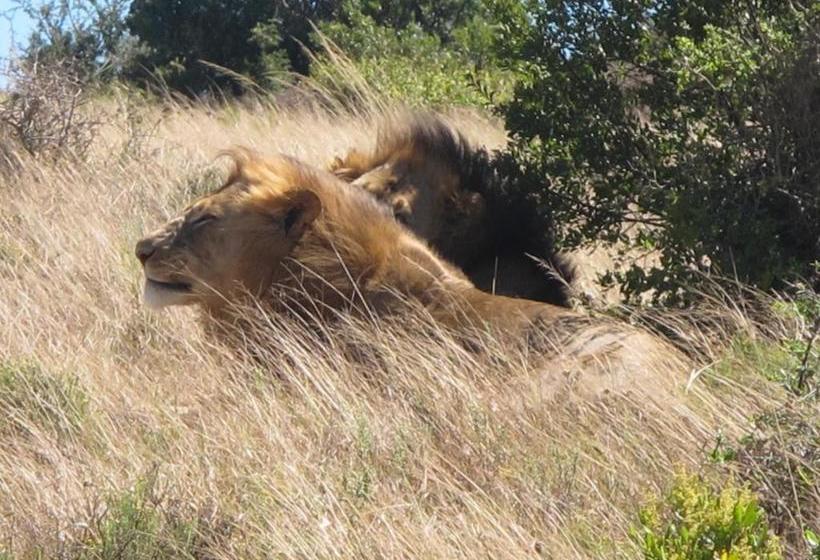 בית מלון כפרי Halstead Farm
