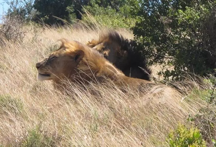 Hotelli Halstead Farm