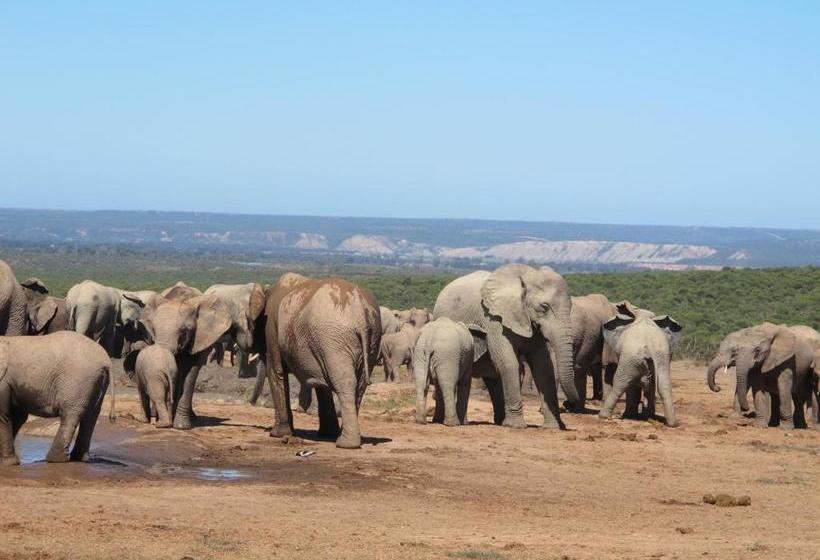 בית מלון כפרי Halstead Farm