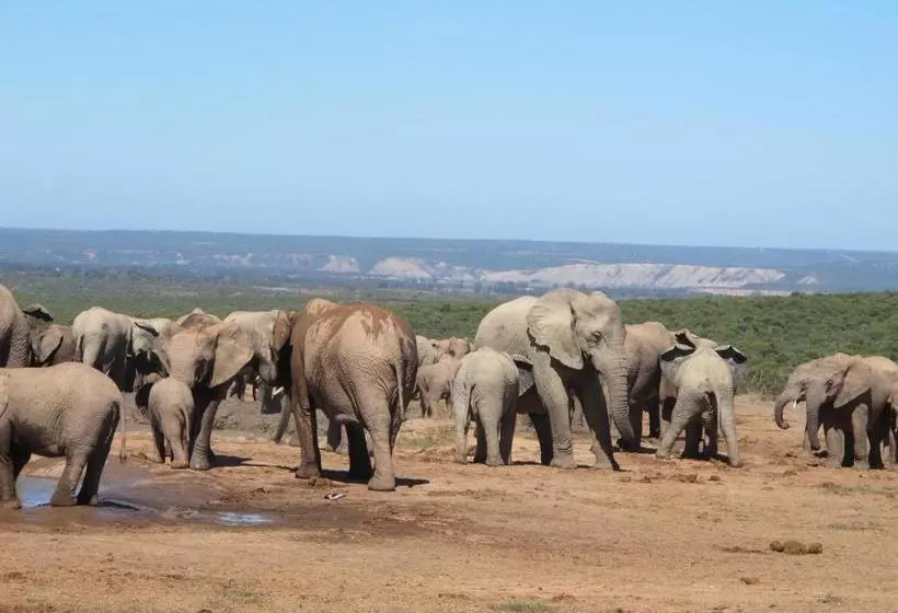 Hotelli Halstead Farm