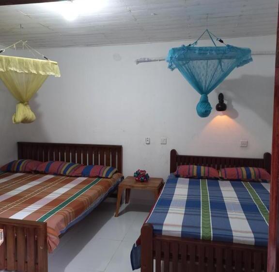 膳宿费 Mango Villa 703