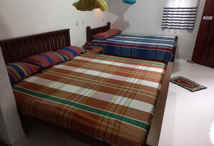 膳宿费 Mango Villa 703