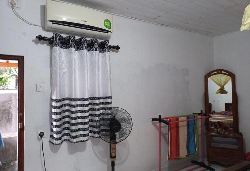 膳宿费 Mango Villa 703