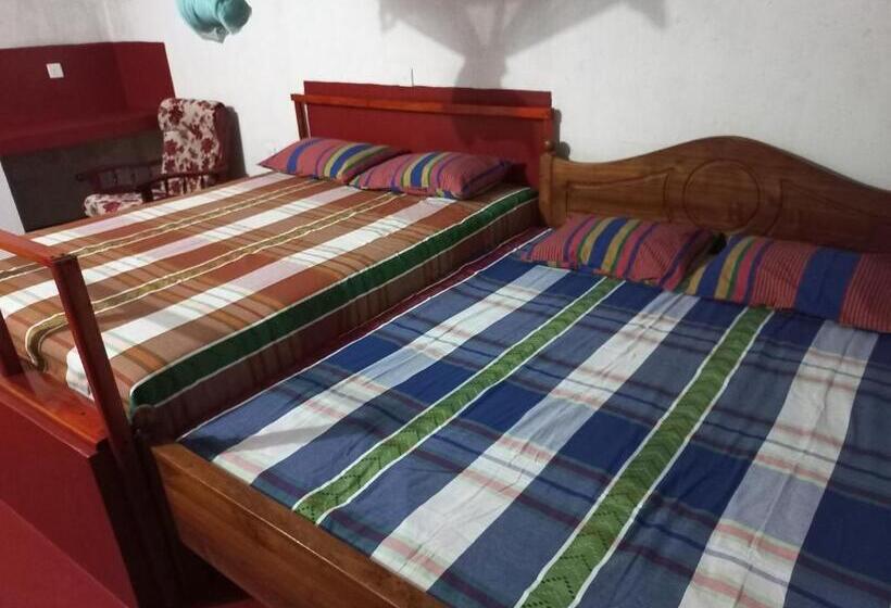 膳宿费 Mango Villa 703