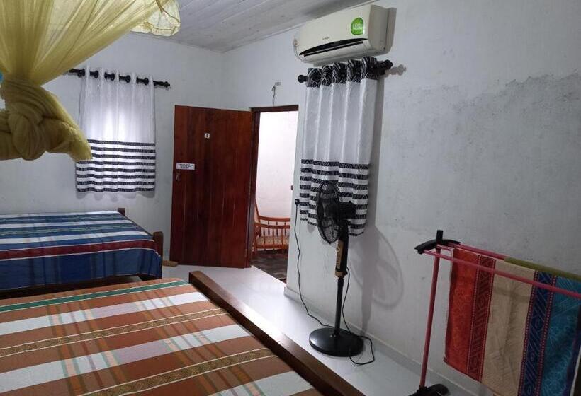 膳宿费 Mango Villa 703