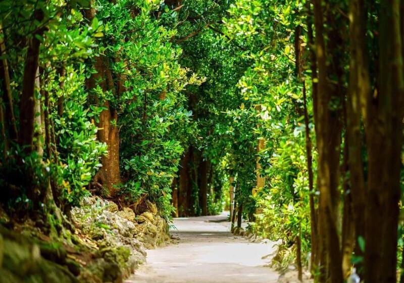 פנסיון Retreat House Ipe