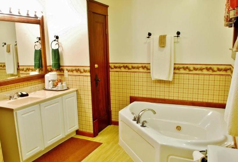 旅馆 Arbor Hill Inn