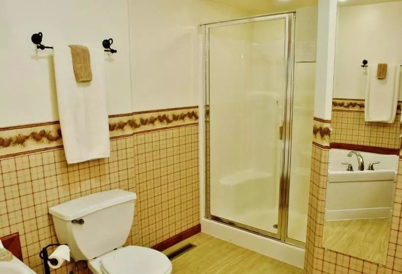 هاستل Arbor Hill Inn