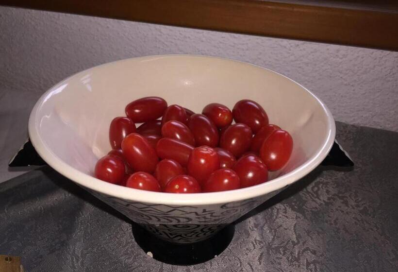 Hostel Bed & Breakfast Region Murtensee