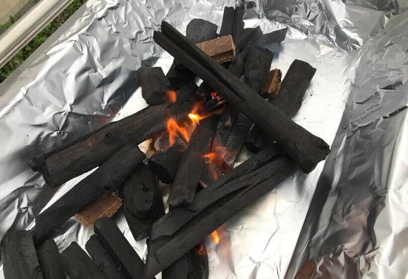 Okinawa Pension Minami