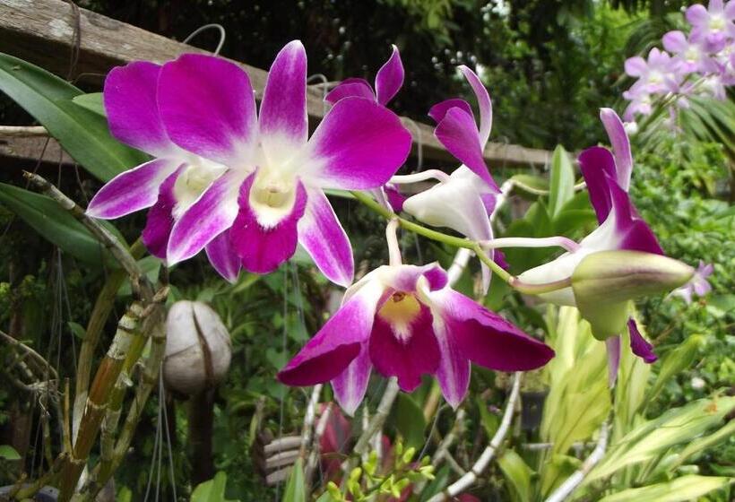 Pensione Ban Vivanh Chambres D'hotes