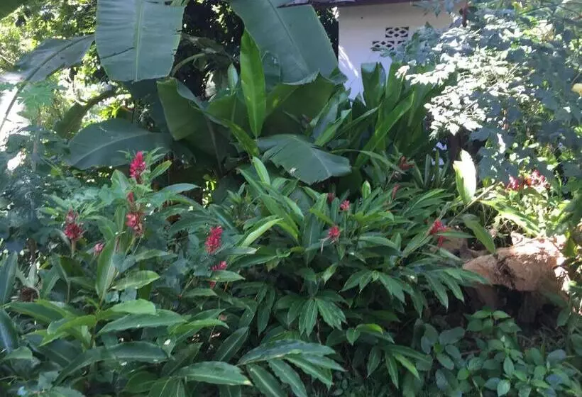 ペンション Ban Vivanh Chambres D'hotes