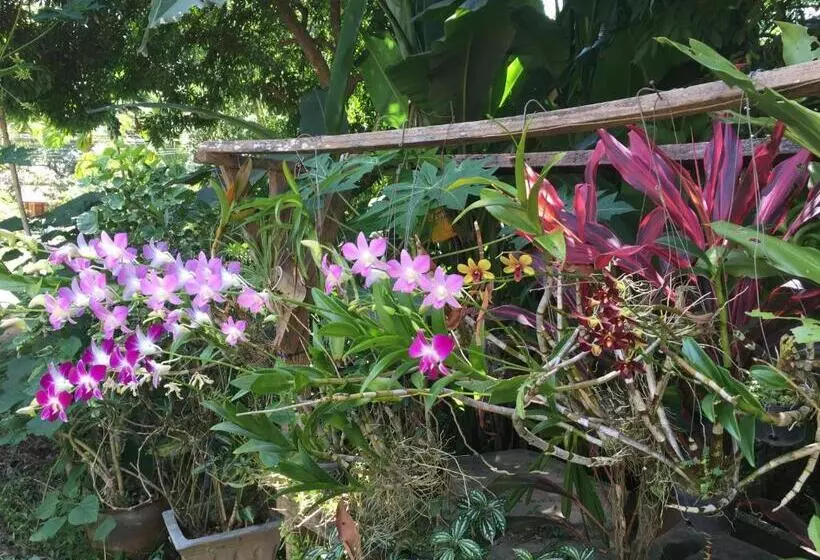 ペンション Ban Vivanh Chambres D'hotes