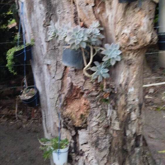 펜션 João De Barro Hospedagem