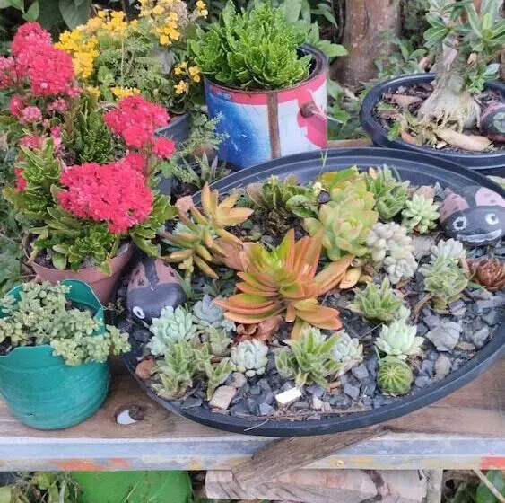 ペンション João De Barro Hospedagem