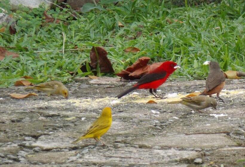 پانسیون Pousada Entre Paraísos