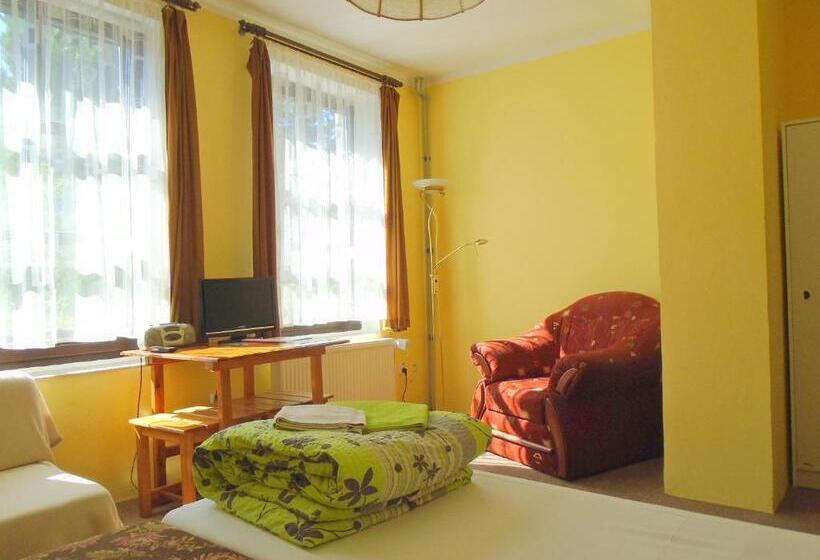 بنسيون Wellness Penzion Lázně Jablonec