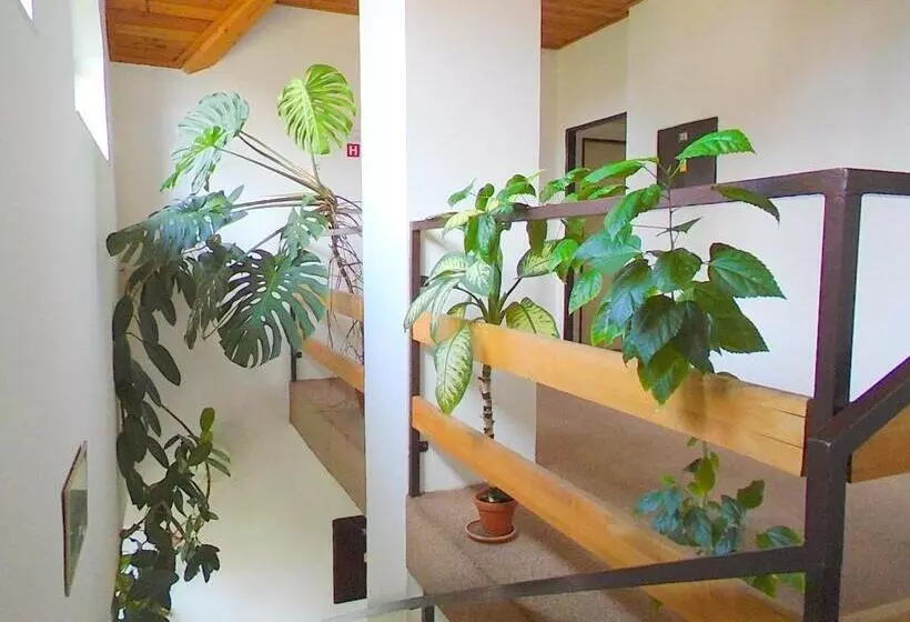 Majatalo Wellness Penzion Lázně Jablonec