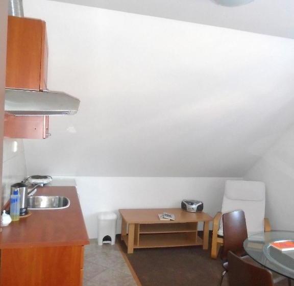 بنسيون Wellness Penzion Lázně Jablonec