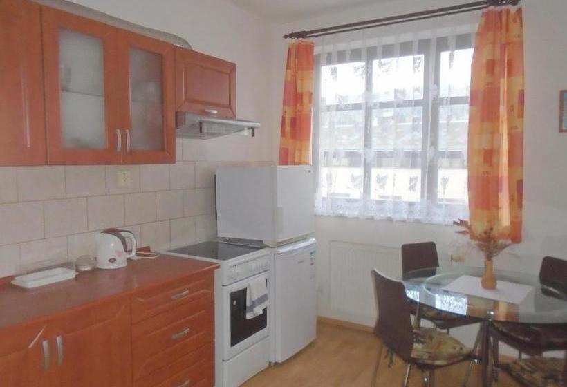 بنسيون Wellness Penzion Lázně Jablonec