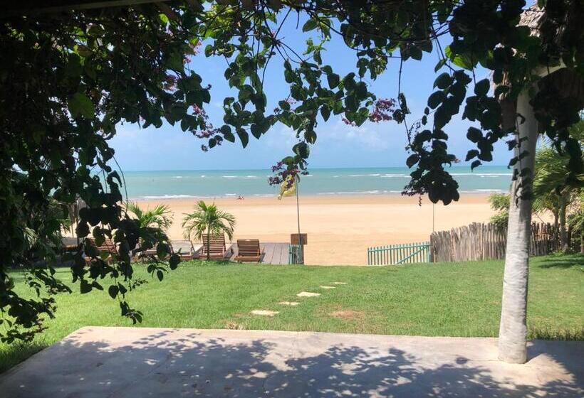 הוסטל The Spot Beachfront Sports Pousada