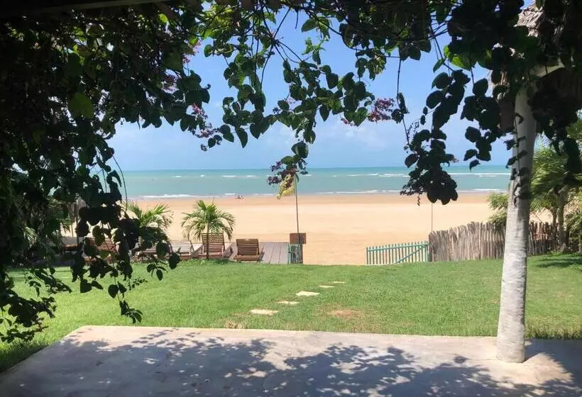 ユースホステル The Spot   Beachfront Sports Pousada