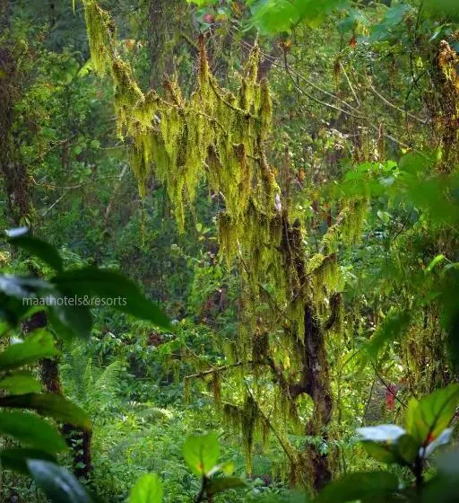 Hotelli Dew Drops Farm Resorts