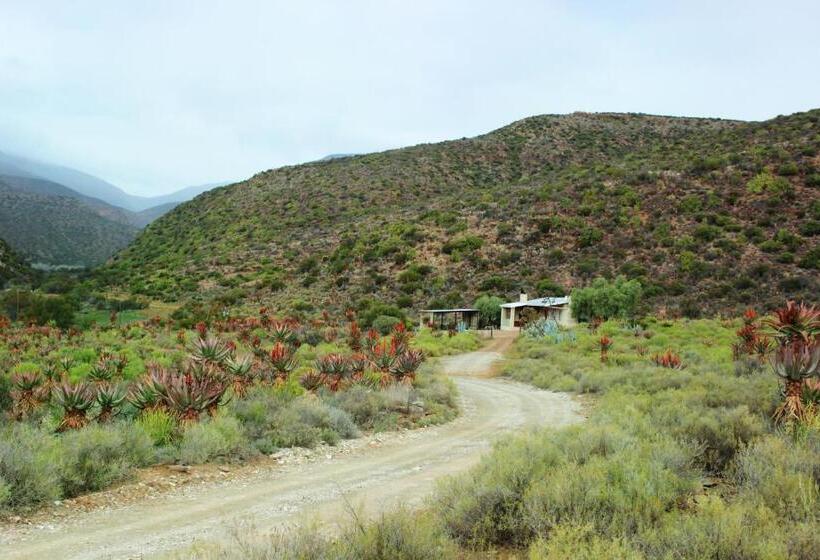 호텔 Kleingeluk Guest Farm