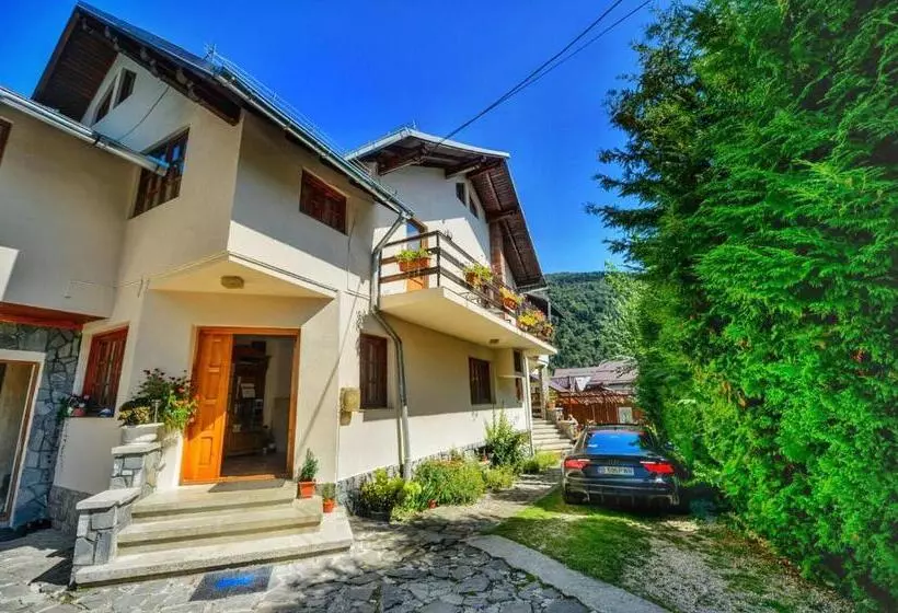 Pensiune Amandra Chalet