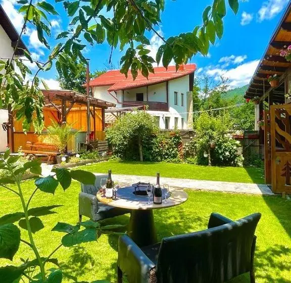 Pensiune Amandra Chalet