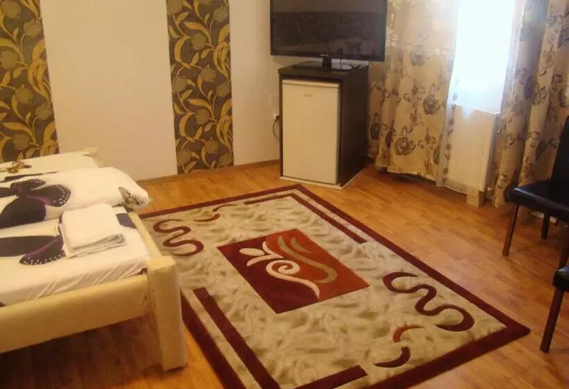 Pensiune Guest House Andrei