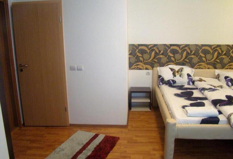 پانسیون Guest House Andrei