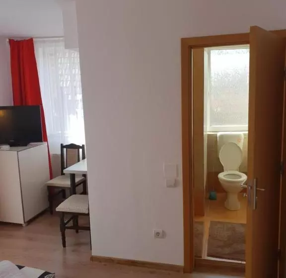 Pensiune Guest House Andrei