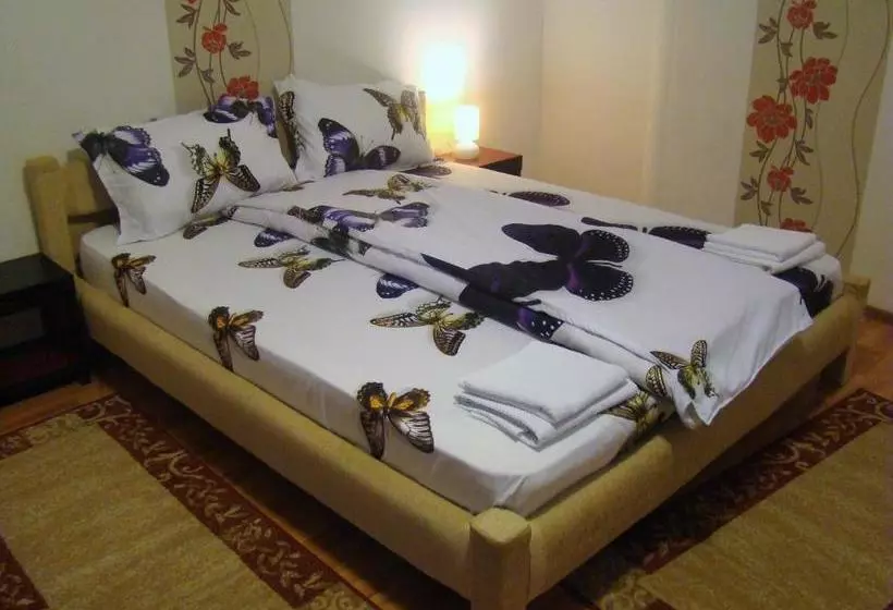 Pensiune Guest House Andrei