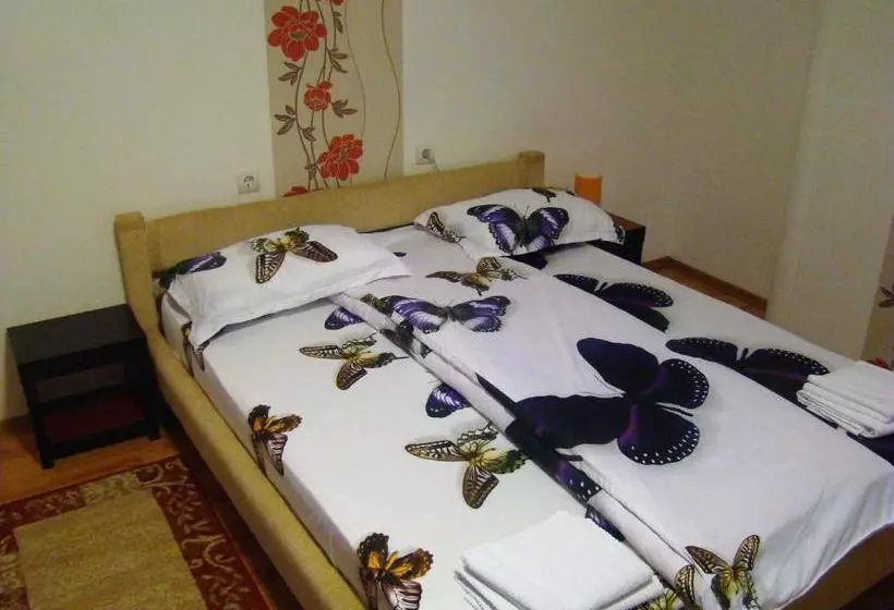 Pensiune Guest House Andrei