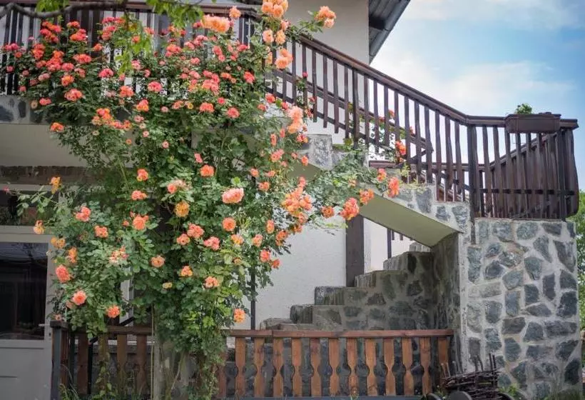 پانسیون Guest House Via