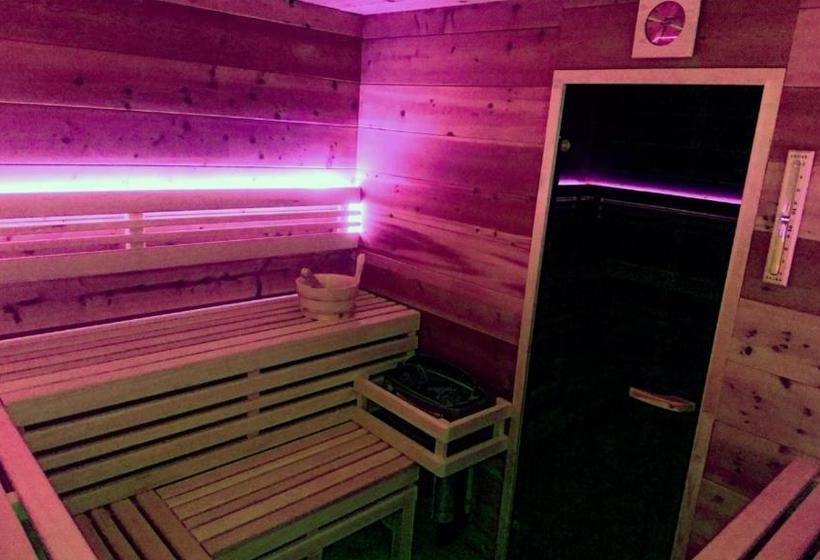 ペンション Penzion Krkonoše