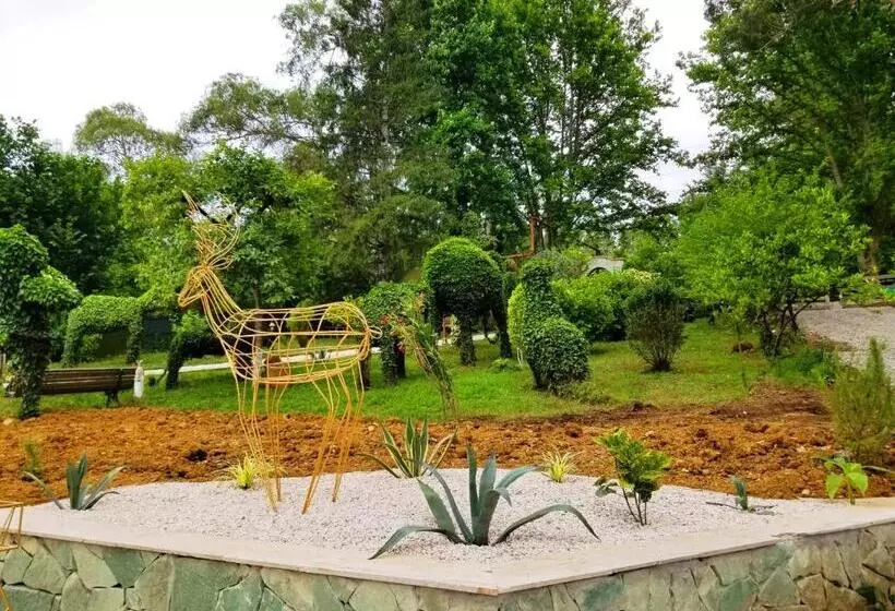 پانسیون Vita Gardenia Hotel Tskaltubo