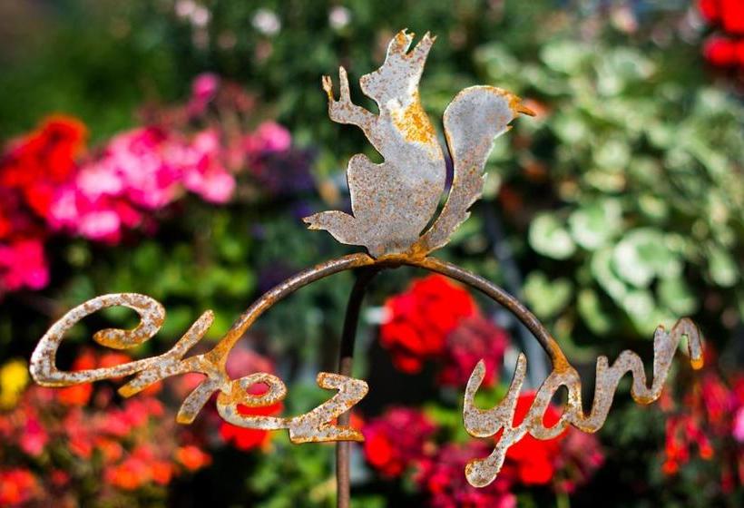 ユースホステル Auberge Communale Chez Yann