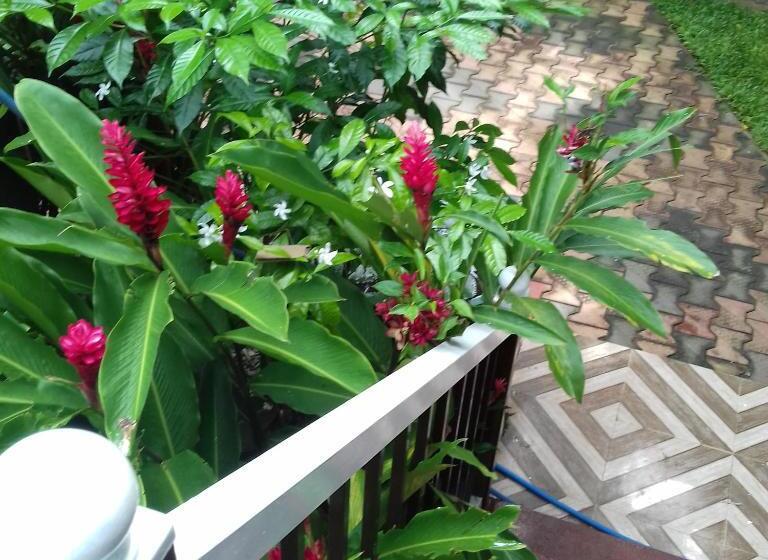 Пансион Rainbow Guest House