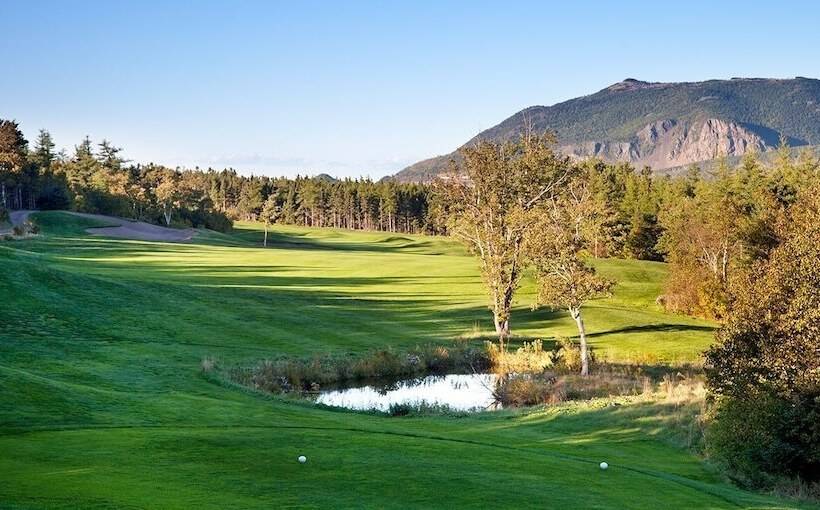 הוסטל The Archie & Isidore